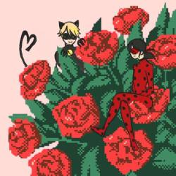 irwanker:  âBitten by the love bugâ    â€ A playlist for the ships of my favourite square romance (and luckily the only one) of the animated series Miraculous Ladybug â€ Red roses/ Love and Respect ; Daffodils/ Â Unrequited love, Youâ€™re the only