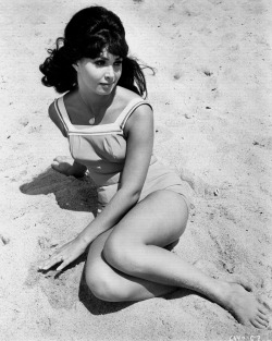 Donna Loren ; publicity still for William Asher’s Muscle Beach Party (1964)