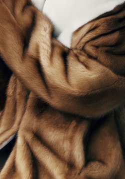 voguelize:   goldnlush:   salveo2-deactivated20130804:  Crop of Prada body coat (945 €) photographed by Ben Weller for Vogue Spain, February 2013   qd   Message me if you have a fresh blog, need more blogs to follow x 