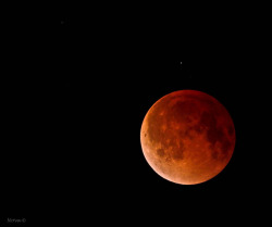 nanve:  Bajo la misma luna / Under the same moon on Flickr.Eclipse lunar 15/04/2014  03:37 hrs.