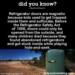 queendecuisine:  brownglucose:  smidgetz:  did-you-kno:  Refrigerator doors are magnetic because kids used to get trapped inside them and suffocate. Before the Refrigerator Safety Act of 1956, doors could only be opened from the outside, and many children
