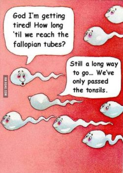 9gag:  How long ‘til we reach the fallopian tubes? 