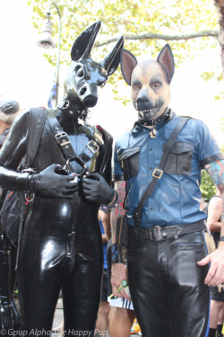 You can learn more about human pup play here: http://SiriusPup.net http://TheHappyPup.com http://PupSafeProject.org 