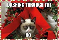 my thoughts exactly angry cat. wait until December for all that