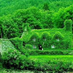 embertheunusual:  sixpenceee:  A 500-year-old teahouse in Wales. (Source)   will be so dissapointed if there aren’t wizards in there