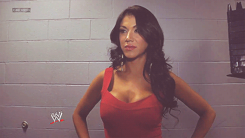 Rosa mendes nude pictures