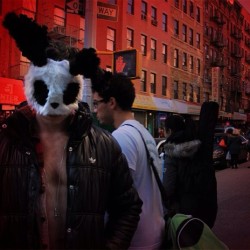 Mott Street Panda - Chinatown/NYC 2013 #alexanderguerra #panda #pandarabbit #chinatown #newyork #nyc #mottstreet #ginger #selfie #selfportrait #adidas #instaart #instamuscle #instagay