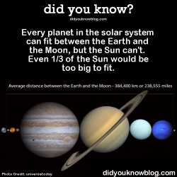 did-you-kno:  Every planet in the solar system can fit between the Earth and the Moon, but the Sun can’t. Even 1/3 of the Sun would be too big to fit. Source 