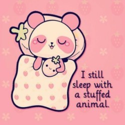 honeydewhearts:  bearbears-little-princess:  I sleep with several AND a binky!   I don’t have my stuffed animal anymore :(