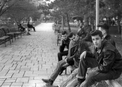 objektid:  American greasers hang out in the park. The greaser subculture began in the 1950s with the advent of rock and roll and was comprised largely of rebellious, working-class youths obsessed with hot rods and music. The name greaser came from their
