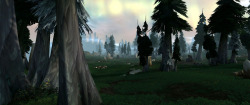 wowcaps:  A misty morning in the Giants Run forest.World of Warcraft - Howling Fjord region
