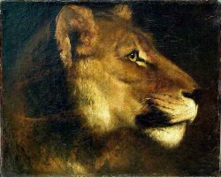 Theodore Gericault, Head of a Lioness