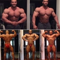 Juan &ldquo;Diesel&rdquo; Morel - 12 weeks out from the Arnold Classic 2016.