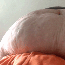 korbendeanbhm:  Anyone want to look up at me from here while my fat pad gets sucked on and you jerk me off? Just before you slip me into your mouth?  Hell to the yes