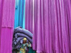 Colourful burden (a cloth dyer of the Bhil tribe, Jodhpur, India)