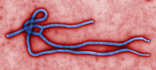 Ongegronde angst voor Ebola 5