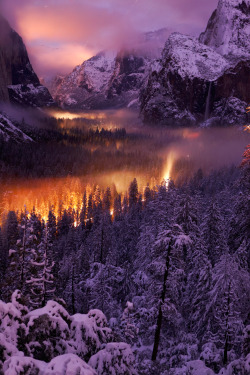 magicalnaturetour:  Yosemite Valley at Night - The mist on the valley floor reflects car lights driving through. Yosemite National Park, USA. (Phil Hawkins/National Geographic Traveler Photo Contest) via Big Picture 