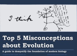 jtotheizzoe:  molecularlifesciences:  Top 5 misconceptions about evolution: A guide to demystify the foundation of modern biology. Version 2.0 Donate here to support science education:  National Center for Science Education http://ncse.com Thank you