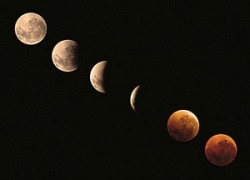 mi&ndash;ca&ndash;ela:  So so excited for this blood moon eclipse! Plus we get to see three more in the next year and a half: Oct. 8, 2014 / April 4, 2015 / Sep. 28, 2015  Mars will also be visible during this eclipse. Viewing times for Tampa in the