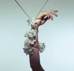 artfulshibari:A Tender Dissolution - Hand ShibariRopework by Paul KabzinskiPhotography by Aaron McPolin