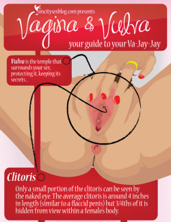 militantbyexistence:  writingsofessencesoul:  loveinterracial:  lilithdiana:  In tribute to #masturbationmonth, here is Vagina &amp; Vulva: Your guide to your Va-Jay-Jay. #InfoGraphic  If you don’t know, now you know  You’re welcome.  Know thy va-jay-jay!