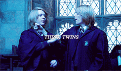  harry potter character tropes ; fred &amp; george weasley 