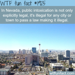wtf-fun-factss:  Nevada laws - WTF fun facts