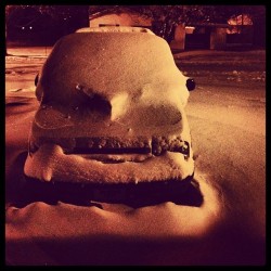 My poor baby is all buried 😓😓 #snow #winter #snowday #snowedin