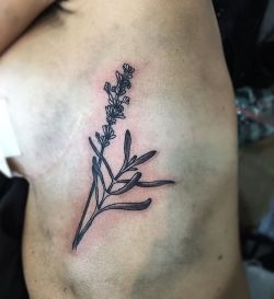 ✖️Tatuaje realizado a mi amiga @marijomodoon full buena vibra y nos vemos pronto&rsquo; :) ✖️#tattoo #tatuaje #tatu #ink #tattooed #tattooedgirl #lavanda #lavender #costillas #black #sombras #blackwork #blackandwhite #flor #flower #venezuela #lara