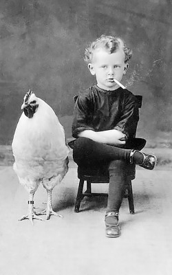 20th-century-man:  “Back off, chicken… You’re harshing my buzz…” 