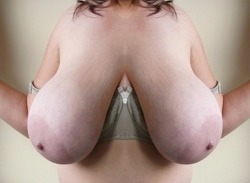 lustyfatty:  heavy-tits:  I love how these heavy tits separate  Logon - Hookup with Voluptuous hotties! Damn sexy ass big titties!  nice large hangers