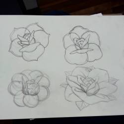 Working on more quasi traditional roses. #ink #roses #artistsoninstagram #artistsontumblr  (at Raven&rsquo;s Eye Ink)