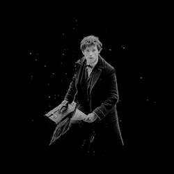 aeryastark:  newt scamander // for @slytheringsnape we’re going to recapture my creatures before they get hurt. they’re currently in alien terrain surrounded by millions of the most vicious creatures on the planet; humans 