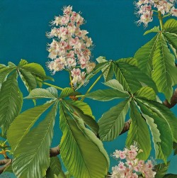 huariqueje:  Blossom Branch   -    Karel Lodewijk Bruckman , 1946..Dutch, 1903-1995Oil on canvas,41 x 41 cm.