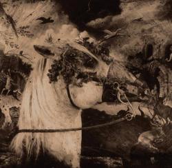 the-owls-are-not-what-they-seem:  Joel-Peter Witkin