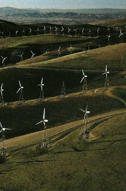 reynita9:  vintagenatgeographic:California wind turbines at Altamont Pass National Geographic | October 1990   I miss Palm Springs and Joshua Tree