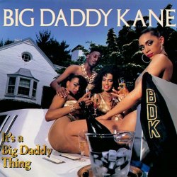 BACK IN THE DAY |9/15/89| Big Daddy Kane released his second album, It’s a Big Daddy Thing, on Cold Chillin’ Records.