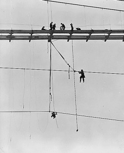 vieuxmetiers:  Workers arranging the wind bracing for a temporary conveyor suspension bridge over Rattlesnake Canyon, 1935. 