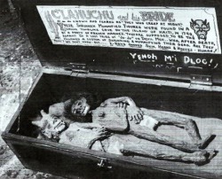 Clahuchu et son épouse. Ces deux momies auraient été trouvées par des hommes de la Marine française, dans une grotte tombale sur l'île d'Haïti en 1740. Ils sont censés appartenir à une tribu perdue appelée &ldquo;Ju-Ju&rdquo; ou diables hommes