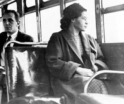 black-culture:On this day in 1955, Rosa Parks helped spark a movement that would change this country forever. Yet, 59 years later Blacks continue to fight, bleed and sweat for their civil rights and humanity in this country. 59 years later, the same white