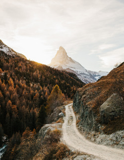 meowntain:  That day in Switzerland (by kevin.faingnaert) 