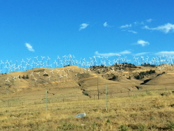 So many windmills.