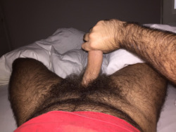 ursus-truly:  hairycloseups: Check my theme hairy blogs: beardynips.tumblr.com: facial hair, hairy chests and nippleschestnshirt.tumblr.com: fur under the shirtflaccidbeauty.tumblr.com: hairy men in relaxed modehairycloseups.tumblr.com: pure male hair,