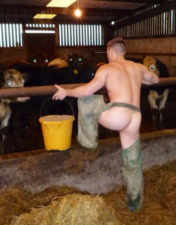 broswithoutclothes:  The cows respect it, bro 