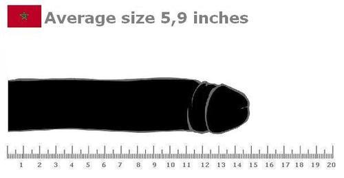 Average 6 inch penis