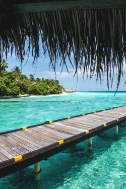 italian-luxury:  Clear Waters, Maldives