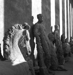varietas:  Herbert List: Athens. National Museum. Statues retrieved by fishermen near the island of Antikythera. 1937