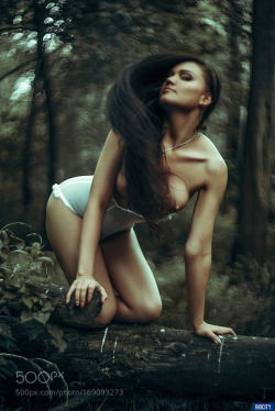 shared500pxfavs:  diva of the forest by BiocityMonte, http://500px.com/photo/169093273