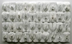  UK artist, Jamie McCartney, created plaster casts of 400 individual vulvae of women from ages 18-76 years old to produce The Great Wall of Vagina. 