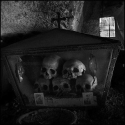  Skulls at the Fontanelle cemetery caves, Naples, Italy 